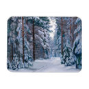 Recherche de neigeux magnets Vintage
