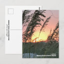Recherche de anastasia cartes postales Floride