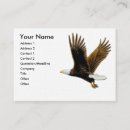 Recherche de eagle cartes visite Faune