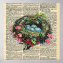 Recherche de bird egg posters Illustration