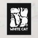 Recherche de chaton mignon cartes postales Cats