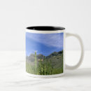 Recherche de monument tasses Paysage