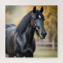 Recherche de cheval noir puzzles Poney