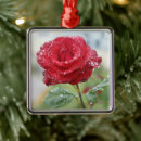 Recherche de gouttes de pluie ornements Rose