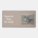 Recherche de écureuil gris tapis souris Photographie de la nature