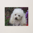 Recherche de poodle puzzles Animal