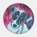 Recherche de jack russel magnets Chiot