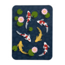 Recherche de poissons magnets Étang de koi