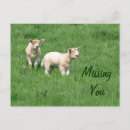 Recherche de missing you cartes postales Bébé