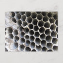 Recherche de hexagone cartes postales Miel