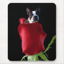 Recherche de valentines day tapis souris Je t'aime