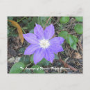 Recherche de clematis cartes postales Violet