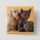 Recherche de teckels badges Animal familier