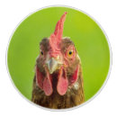 Recherche de poule boutons et poignées de porte Drôle