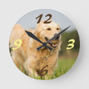 Recherche de golden retriever art Amour