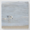 Recherche de oiseaux marins dessous de verres Plage