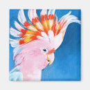 Recherche de oiseaux exotiques magnets Tropical