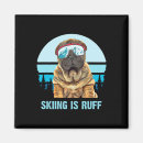 Recherche de skieur magnets Montagne