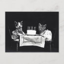 Recherche de vintage de chaton anniversaire cartes Animaux