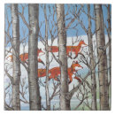 Recherche de renard carreaux Forêt