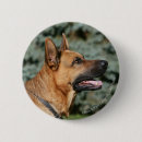 Recherche de deutsch badges Chien