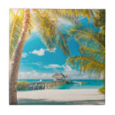 Recherche de coucher du soleil tropical plage de carreaux Paysage