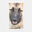 Recherche de berger allemand serviettes Bergers allemands