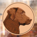 Recherche de chiot de laboratoire de chocolat posters Extracteur