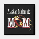 Recherche de malamute magnets Chien