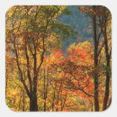 Recherche de motifs de montagne autocollants Anna miller