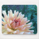 Recherche de fleur cactus tapis souris Orange