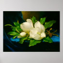 Recherche de martinique posters Paysage