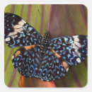 Recherche de beauté nature autocollants Bleu
