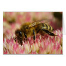 Recherche de apiculteur vœux cartes Apiariste