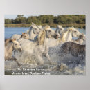 Recherche de camargue posters Chevaux