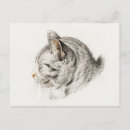 Recherche de jeu de chats cartes postales Vintage