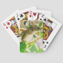 Recherche de souris jeux de cartes Rongeur
