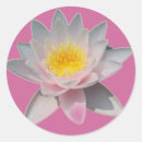Recherche de fourre touts autocollants Rose