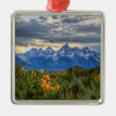 Recherche de jackson hole ornements Paysage