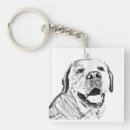Recherche de labrador porteclés Animaux de compagnie