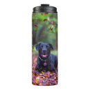 Recherche de labrador voyage mugs Automne