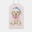 Recherche de chiot bleu Rose