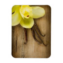 Recherche de vanille magnets Fleur