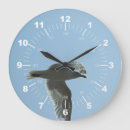 Recherche de crane horloges Faune