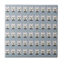 Recherche de chien blanc carreaux Animaux