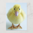 Recherche de mousepad cartes postales Mignon