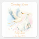 Recherche de stork autocollants Aquarelle