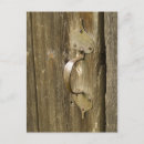 Recherche de bois patiné cartes postales Vieux