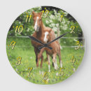 Recherche de poulain horloges Cheval