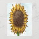 Recherche de joli tournesol cartes postales Floral